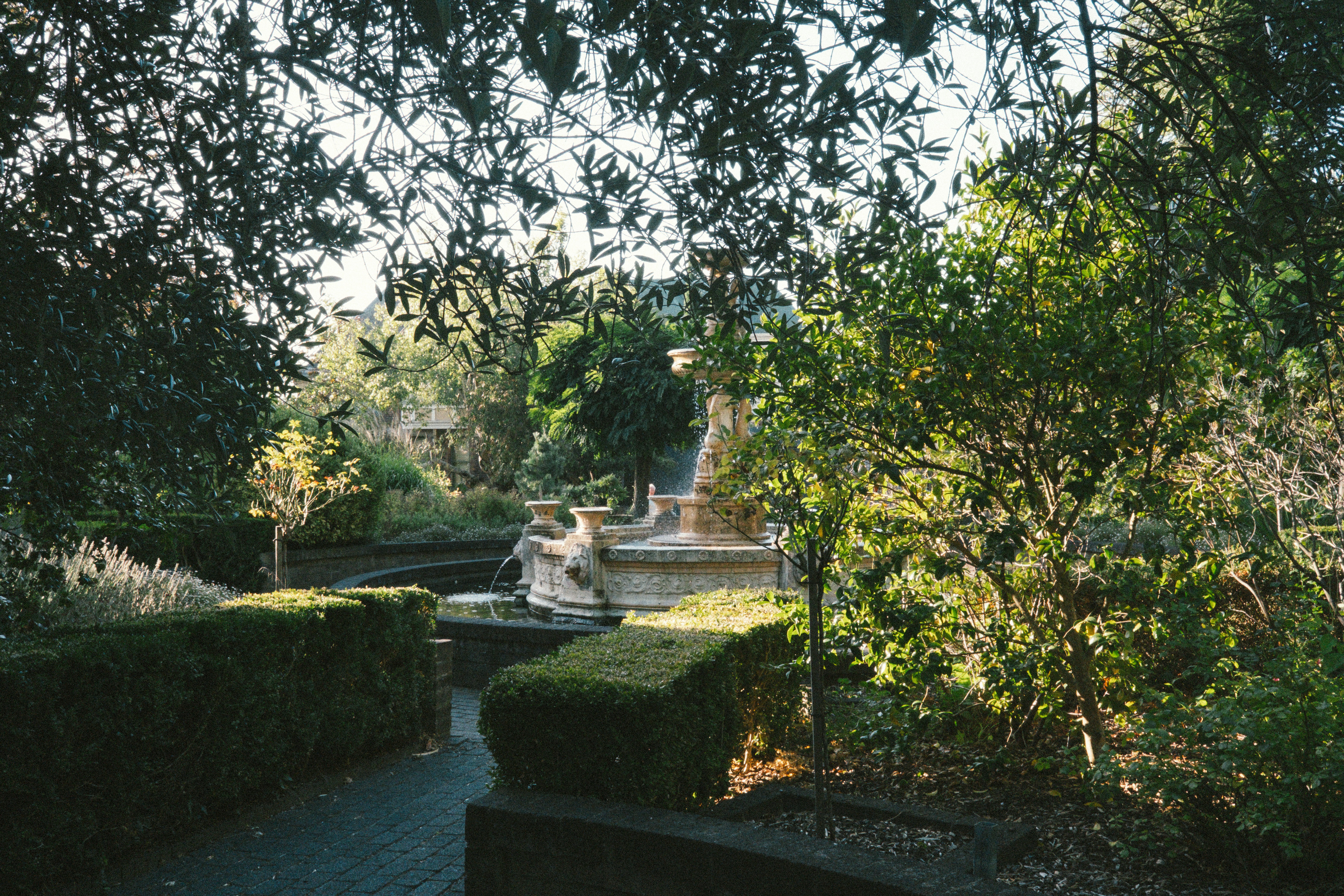 peaceful green park in Australia